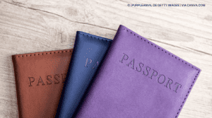 Protocolo do Passaporte